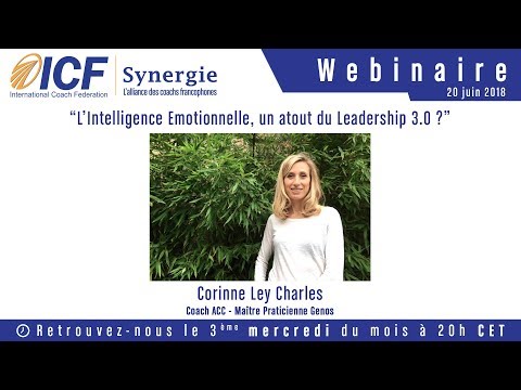 L’intelligence Emotionnelle, un atout du Leadership 3.0